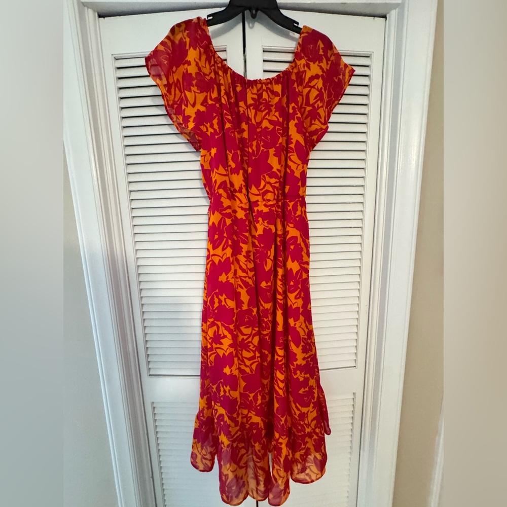 Robert Louis Size Large Pink and Orange Floral Maxi Dress